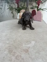 processed/2c98376f-3abf-495c-a2d5-588128dd9bfb/listing/76b5e2bc-5765-48b1-bfa8-0d89d386ae4f/05e95cc8-0afa-423b-8fc1-238f1f0a3848