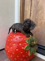 processed/2c98376f-3abf-495c-a2d5-588128dd9bfb/listing/76b5e2bc-5765-48b1-bfa8-0d89d386ae4f/23523e33-59ed-44a5-8888-32ccaa416078