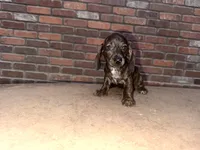 processed/2c98376f-3abf-495c-a2d5-588128dd9bfb/listing/76b5e2bc-5765-48b1-bfa8-0d89d386ae4f/3a689247-6ade-420a-b129-bacb61e23b0e