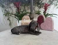 processed/2c98376f-3abf-495c-a2d5-588128dd9bfb/listing/76b5e2bc-5765-48b1-bfa8-0d89d386ae4f/826235a4-1055-4990-a140-770e7f07cf6b