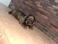 processed/2c98376f-3abf-495c-a2d5-588128dd9bfb/listing/76b5e2bc-5765-48b1-bfa8-0d89d386ae4f/fa33f1aa-d980-4b6d-be1e-a976f6eb775a