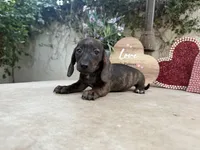 processed/2c98376f-3abf-495c-a2d5-588128dd9bfb/listing/76b5e2bc-5765-48b1-bfa8-0d89d386ae4f/fa65c3b3-18f4-43c3-a26d-f5e8da5436c7