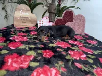 processed/2c98376f-3abf-495c-a2d5-588128dd9bfb/listing/922e0244-e451-4df1-87a4-0eb4e931a20e/2a55d0f8-1413-4085-9d36-63f7849ec59c