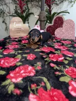 processed/2c98376f-3abf-495c-a2d5-588128dd9bfb/listing/922e0244-e451-4df1-87a4-0eb4e931a20e/42f214c6-7650-47aa-af4b-1858f0faf0e8