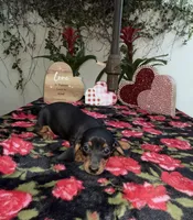 processed/2c98376f-3abf-495c-a2d5-588128dd9bfb/listing/922e0244-e451-4df1-87a4-0eb4e931a20e/5eeae1a8-d88e-4b4e-9754-534861592346