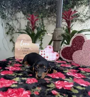 processed/2c98376f-3abf-495c-a2d5-588128dd9bfb/listing/922e0244-e451-4df1-87a4-0eb4e931a20e/63829a32-d187-44c9-b6f1-c29ea87691cd