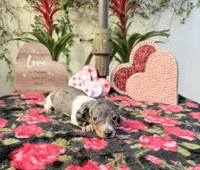 processed/2c98376f-3abf-495c-a2d5-588128dd9bfb/listing/95abc954-8916-4b54-b94d-2db663025dcf/1392b9a8-498a-4c46-a9b1-49d124485e62