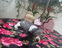 processed/2c98376f-3abf-495c-a2d5-588128dd9bfb/listing/95abc954-8916-4b54-b94d-2db663025dcf/1d4428f1-2d0f-4da4-8054-71bd4cbe4612