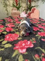 processed/2c98376f-3abf-495c-a2d5-588128dd9bfb/listing/95abc954-8916-4b54-b94d-2db663025dcf/c185f1a8-5319-47a9-b741-6f2638a12ae6