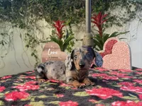 processed/2c98376f-3abf-495c-a2d5-588128dd9bfb/listing/e5c7b618-d1f3-48ba-a4a5-b9b2b0cbd372/03fa132a-e8c0-4775-b4a7-8325623fba15