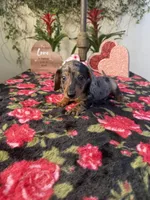 processed/2c98376f-3abf-495c-a2d5-588128dd9bfb/listing/e5c7b618-d1f3-48ba-a4a5-b9b2b0cbd372/0f44b6aa-bf24-4d72-aab5-14893189669a