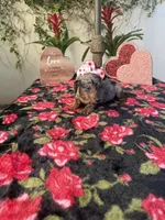 processed/2c98376f-3abf-495c-a2d5-588128dd9bfb/listing/e5c7b618-d1f3-48ba-a4a5-b9b2b0cbd372/8326fc33-0c2e-4096-8f0d-57a833f96688