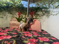 processed/2c98376f-3abf-495c-a2d5-588128dd9bfb/listing/e5c7b618-d1f3-48ba-a4a5-b9b2b0cbd372/9a6d74bc-0a5a-419d-94f4-e3a85fd6e1c2