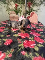 processed/2c98376f-3abf-495c-a2d5-588128dd9bfb/listing/e5c7b618-d1f3-48ba-a4a5-b9b2b0cbd372/a9553efc-f74e-4ed7-b25b-9454694124bb