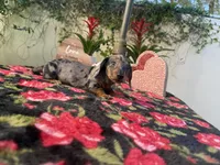 processed/2c98376f-3abf-495c-a2d5-588128dd9bfb/listing/e5c7b618-d1f3-48ba-a4a5-b9b2b0cbd372/ba19e2df-5e55-4148-83b5-adf6431bc14b