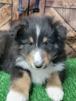 processed/2c9da074-1b35-4577-b355-0b4cb37827c7/listing/54c1fb77-a1bd-4f1e-becc-08af3ca902ad/1450617e-ba6c-420b-9339-9a9a48d16736