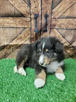 processed/2c9da074-1b35-4577-b355-0b4cb37827c7/listing/54c1fb77-a1bd-4f1e-becc-08af3ca902ad/384b522e-cd56-4940-ac91-3eb35b7241c9