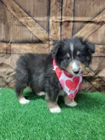 processed/2c9da074-1b35-4577-b355-0b4cb37827c7/listing/54c1fb77-a1bd-4f1e-becc-08af3ca902ad/58fbc374-9f5f-4cdd-9dda-ad65b5c2b407