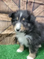 processed/2c9da074-1b35-4577-b355-0b4cb37827c7/listing/54c1fb77-a1bd-4f1e-becc-08af3ca902ad/d8ab3925-010a-46aa-927e-d991724ed35d