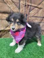 processed/2c9da074-1b35-4577-b355-0b4cb37827c7/listing/801e6d95-2ff8-4337-85b4-a342c4b9b183/3f085c9e-b8b4-4fd0-9aa1-a1f29e67c27a