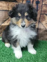 processed/2c9da074-1b35-4577-b355-0b4cb37827c7/listing/801e6d95-2ff8-4337-85b4-a342c4b9b183/e723d248-5b1e-4628-969e-523e563e6961