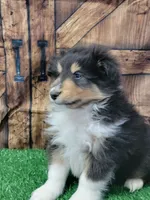 processed/2c9da074-1b35-4577-b355-0b4cb37827c7/listing/801e6d95-2ff8-4337-85b4-a342c4b9b183/ed1a3b24-62e7-4282-90f4-b3f5b23cbbe9