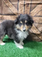 processed/2c9da074-1b35-4577-b355-0b4cb37827c7/listing/801e6d95-2ff8-4337-85b4-a342c4b9b183/fcbed5ec-11b3-465b-8973-c2db43a8138e