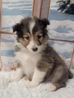 processed/2c9da074-1b35-4577-b355-0b4cb37827c7/listing/c6da26d3-3668-47c5-9c39-1e73e0e9ac2b/8bae19a2-d37d-401c-b7a8-405e8a174ee2