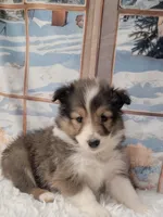 processed/2c9da074-1b35-4577-b355-0b4cb37827c7/listing/c6da26d3-3668-47c5-9c39-1e73e0e9ac2b/bf0b8a5d-1db2-492b-b86c-1c24f255e292