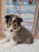 processed/2c9da074-1b35-4577-b355-0b4cb37827c7/listing/c6da26d3-3668-47c5-9c39-1e73e0e9ac2b/ca9b9ce5-c200-4dce-998d-52462208f4f2