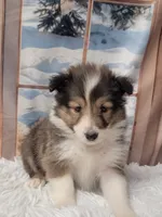 processed/2c9da074-1b35-4577-b355-0b4cb37827c7/listing/c6da26d3-3668-47c5-9c39-1e73e0e9ac2b/dd78ee5d-2bc8-49ca-91a5-60b06793b0f5