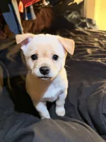 processed/2ca4b999-046a-4970-add9-0e343a56a79c/listing/b729bc06-5ad9-4af0-a885-b43a69514c6b/2a2eebb3-d261-4209-b7b0-cee36e16b904