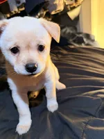 processed/2ca4b999-046a-4970-add9-0e343a56a79c/listing/b729bc06-5ad9-4af0-a885-b43a69514c6b/8e2c20b4-c564-436a-9620-d3b03e88dbc7