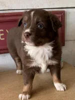 processed/2cb83213-6519-45c5-aa67-be5ca5a92d02/listing/016a942f-ac39-4d07-bce1-14b266e5f7d2/8cb3341f-e866-4b77-b422-9f59c885042d