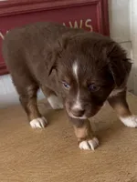 processed/2cb83213-6519-45c5-aa67-be5ca5a92d02/listing/016a942f-ac39-4d07-bce1-14b266e5f7d2/e3751d68-6227-46a9-9216-ff928146f765