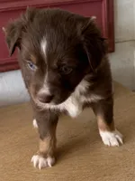 processed/2cb83213-6519-45c5-aa67-be5ca5a92d02/listing/016a942f-ac39-4d07-bce1-14b266e5f7d2/e71f714c-5af9-475a-953a-2c18bc22b64b