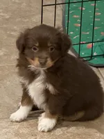 processed/2cb83213-6519-45c5-aa67-be5ca5a92d02/listing/78e9ad4d-190b-4ff7-a038-cbb942f8fa3a/3d050bf5-b666-47f6-a390-e3cc2c08bdaf