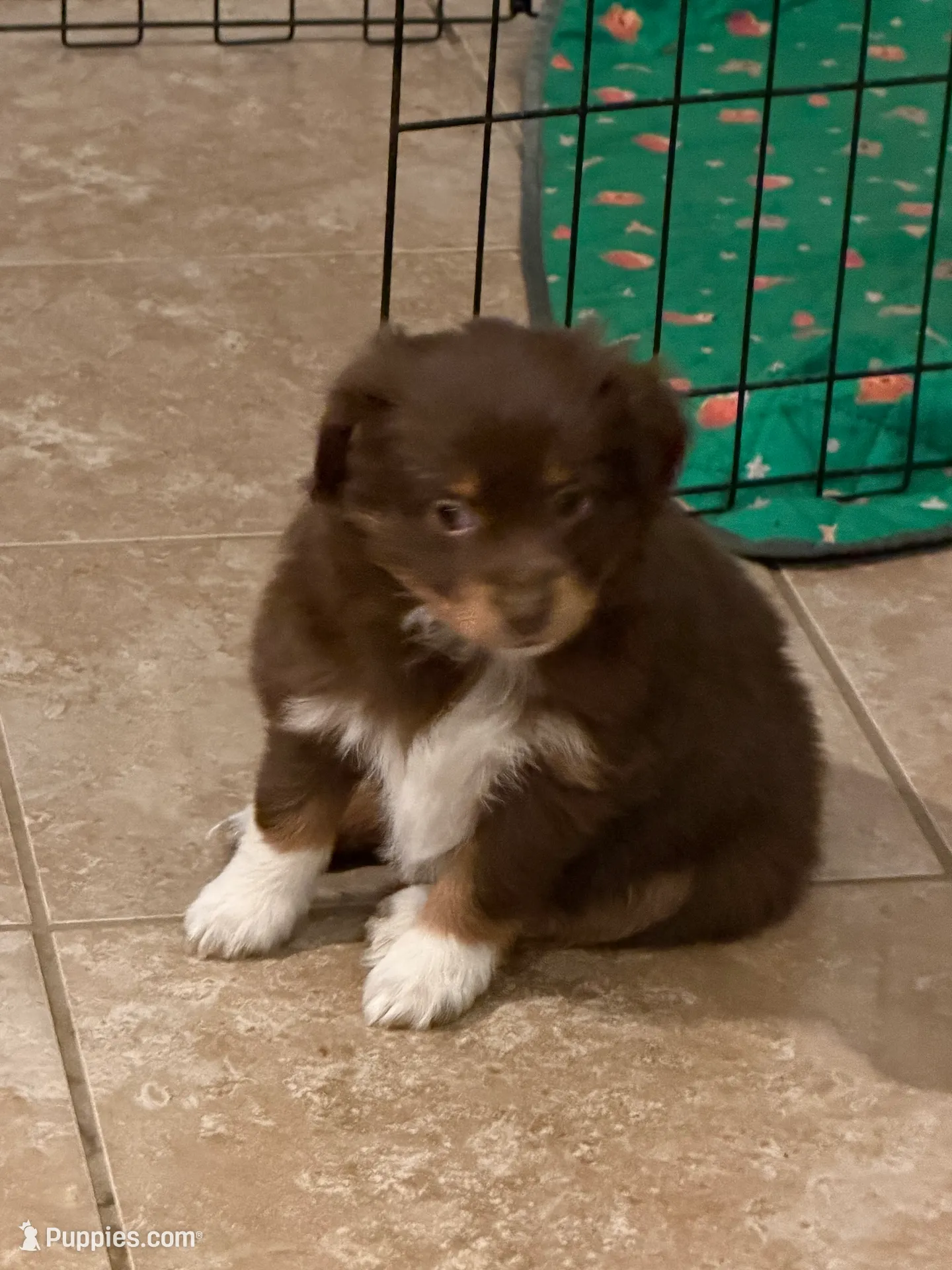 processed/2cb83213-6519-45c5-aa67-be5ca5a92d02/listing/78e9ad4d-190b-4ff7-a038-cbb942f8fa3a/9a0ad276-9c71-43c8-b20a-929a3bd0df03