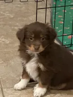 processed/2cb83213-6519-45c5-aa67-be5ca5a92d02/listing/78e9ad4d-190b-4ff7-a038-cbb942f8fa3a/dcfb6eec-68aa-43c2-b710-334813ccf610