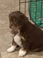 processed/2cb83213-6519-45c5-aa67-be5ca5a92d02/listing/78e9ad4d-190b-4ff7-a038-cbb942f8fa3a/e3444561-534b-4802-b542-1c2f2012c022