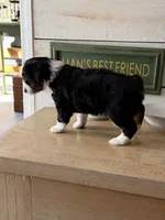 processed/2cb83213-6519-45c5-aa67-be5ca5a92d02/listing/99e0f111-803a-4034-bbb3-21150e822c93/1afd0094-632a-4fe0-aa35-e1ded449fcdd