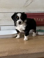 processed/2cb83213-6519-45c5-aa67-be5ca5a92d02/listing/99e0f111-803a-4034-bbb3-21150e822c93/31cfed2b-f147-4275-ab67-7fabb1a8e510