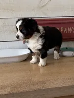 processed/2cb83213-6519-45c5-aa67-be5ca5a92d02/listing/99e0f111-803a-4034-bbb3-21150e822c93/7889331d-3044-4f6b-a925-a721d1649cee