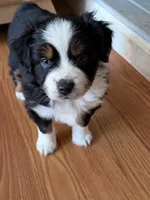 processed/2cb83213-6519-45c5-aa67-be5ca5a92d02/listing/99e0f111-803a-4034-bbb3-21150e822c93/ac22c725-7ac4-4e77-abdb-7925a30291b5