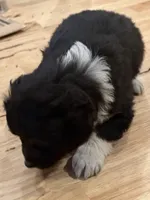 processed/2cb83213-6519-45c5-aa67-be5ca5a92d02/listing/c1e4d79c-12aa-49f1-8f1c-2f63b4a36670/10129065-eb3d-4efe-8be4-b8dcabd9824a