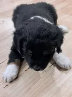 processed/2cb83213-6519-45c5-aa67-be5ca5a92d02/listing/c1e4d79c-12aa-49f1-8f1c-2f63b4a36670/2fe27e4d-45f5-4460-9940-3f11608c28fa