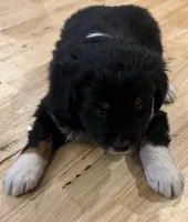 processed/2cb83213-6519-45c5-aa67-be5ca5a92d02/listing/c1e4d79c-12aa-49f1-8f1c-2f63b4a36670/a664766a-cac2-4f0c-ab72-f3a340bf6f8d