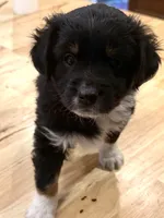 processed/2cb83213-6519-45c5-aa67-be5ca5a92d02/listing/c1e4d79c-12aa-49f1-8f1c-2f63b4a36670/d04f916d-52d7-4924-9257-f46d2815486d