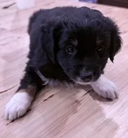 processed/2cb83213-6519-45c5-aa67-be5ca5a92d02/listing/c1e4d79c-12aa-49f1-8f1c-2f63b4a36670/f14a9ff5-378e-4de1-afc0-af356147b0ca