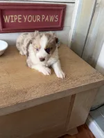 processed/2cb83213-6519-45c5-aa67-be5ca5a92d02/listing/d94024e2-a440-4624-aa25-70746eaac201/13dca56e-71f2-47a7-b169-0c7ead524145